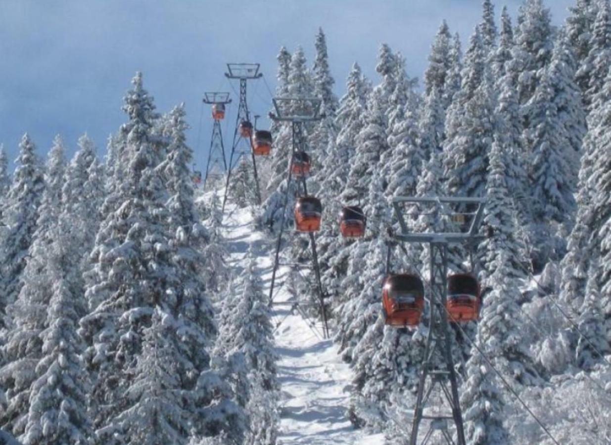 Borovets Gardens Studio D36 Экстерьер фото